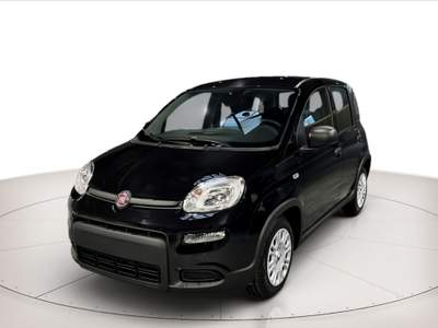 Fiat Panda 1.0 hybrid 70cv Nero usata Cerea