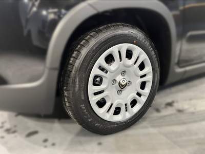 Fiat Panda 1.0 hybrid 70cv Nero usata Cerea