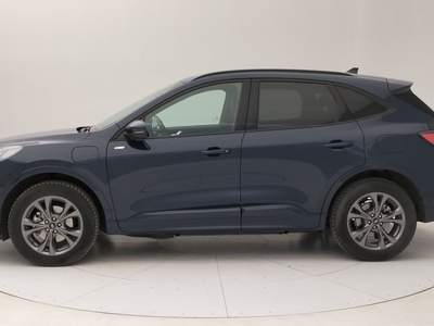 Ford Kuga  - kuga 2.5 phev st-line 2wd 225cv cvt Blu/Azzurro usata Ivrea