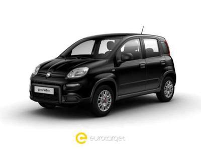 Fiat Panda 1.0 FireFly S&S Hybrid Nero usata Pieve di Cento
