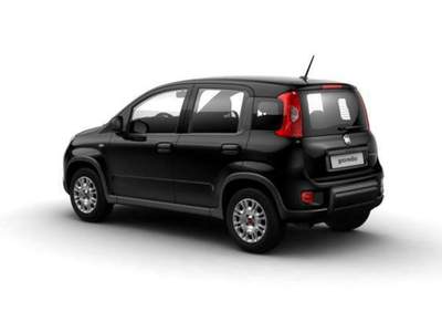 Fiat Panda 1.0 FireFly S&S Hybrid Nero usata Pieve di Cento