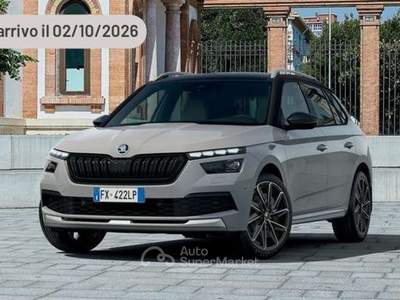 Skoda Kamiq 1.0 TSI 115 CV DSG Selection Argento usata Pieve di Cento