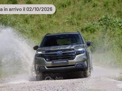 Subaru Forester 2.0 MHEV CVT Lineartronic Style Argento usata Pieve di Cento