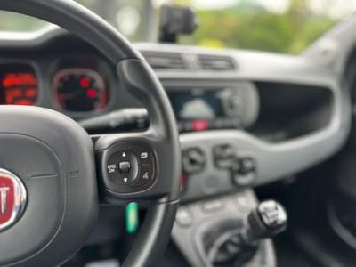 Fiat Panda 1.0 hybrid City Cross Euro 6d-TEMP Blu/Azzurro usata FELTRE