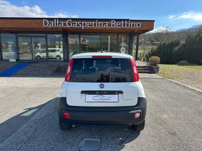 Fiat Panda 1.0 70cv Hybrid Euro 6d Van 2 p. POP Bianco usata FELTRE