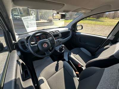 Fiat Panda 1.0 70cv Hybrid Euro 6d Van 2 p. POP Bianco usata FELTRE