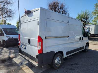 Fiat Ducato Refrigerato Bianco usata Carugo