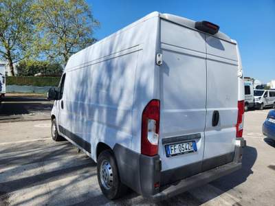 Fiat Ducato Refrigerato Bianco usata Carugo