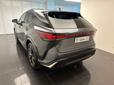 Lexus RX RX 350h 2.5 premium hybrid F-Design e-cvt Grigio usata Cuneo
