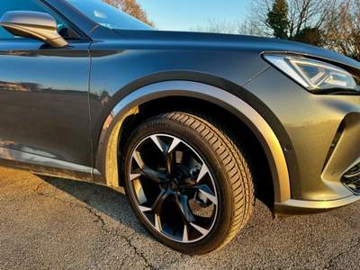 Cupra Formentor Cupra Formentor 2.0 TSI 190cv 4drive Grigio usata Preganziol