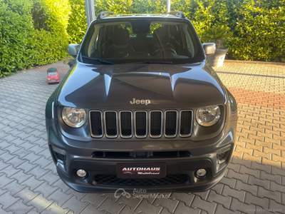 Jeep Renegade Renegade 1.6 Mjt 130CV Limited Grigio usata Taranto