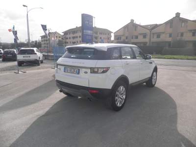 Land Rover Range Rover Range Rover Evoque 5p 2.2 td4 Dynamic 150cv auto 9m Bianco usata Sora