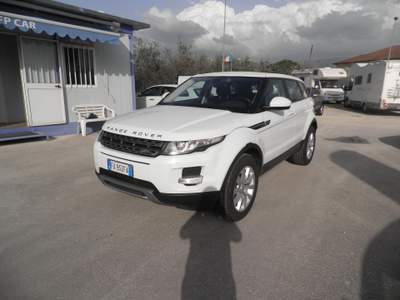 Land Rover Range Rover Range Rover Evoque 5p 2.2 td4 Dynamic 150cv auto 9m Bianco usata Sora