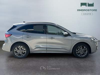 Ford Kuga  - kuga 1.5 ecoblue st-line 2wd 120cv auto Marrone usata Segrate