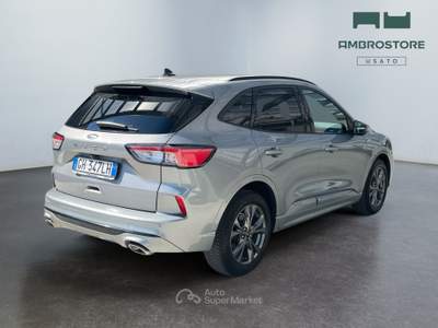 Ford Kuga  - kuga 1.5 ecoblue st-line 2wd 120cv auto Marrone usata Segrate