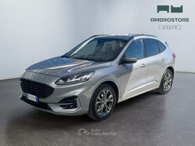 Ford Kuga  - kuga 1.5 ecoblue st-line 2wd 120cv auto Marrone usata Segrate