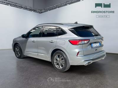 Ford Kuga  - kuga 1.5 ecoblue st-line 2wd 120cv auto Marrone usata Segrate