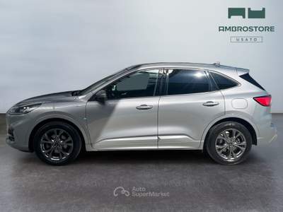 Ford Kuga  - kuga 1.5 ecoblue st-line 2wd 120cv auto Marrone usata Segrate