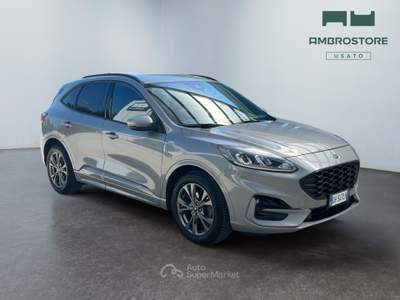 Ford Kuga  - kuga 1.5 ecoblue st-line 2wd 120cv auto Marrone usata Segrate