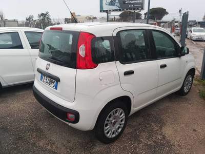Fiat Panda FIAT PANDA 1.2 BENZINA X NEOPATENTATI Bianco usata Anzio