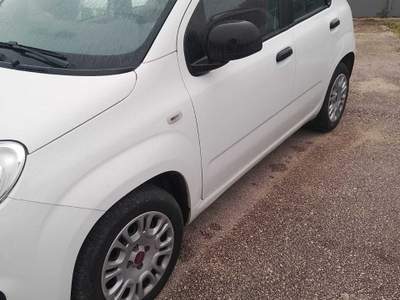 Fiat Panda FIAT PANDA 1.2 BENZINA X NEOPATENTATI Bianco usata Anzio