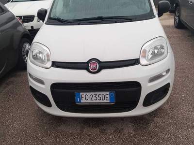 Fiat Panda FIAT PANDA 1.2 BENZINA X NEOPATENTATI Bianco usata Anzio