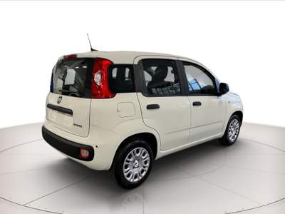 Fiat Panda 1.0 hybrid 70cv Bianco usata Rovigo