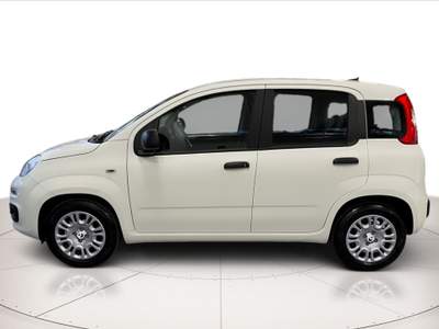 Fiat Panda 1.0 hybrid 70cv Bianco usata Rovigo