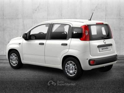 Fiat Panda 1.0 FireFly S&S Hybrid Bianco usata Pieve di Cento