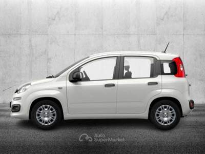 Fiat Panda 1.0 FireFly S&S Hybrid Bianco usata Pieve di Cento
