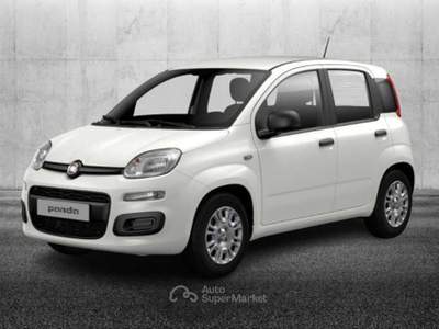 Fiat Panda 1.0 FireFly S&S Hybrid Bianco usata Pieve di Cento