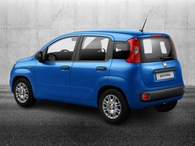 Fiat Panda 1.0 FireFly S&S Hybrid Blu/Azzurro usata Pieve di Cento