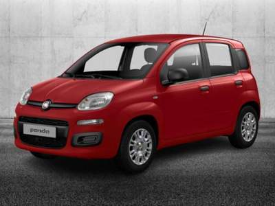 Fiat Panda 1.0 FireFly S&S Hybrid Rosso usata Pieve di Cento