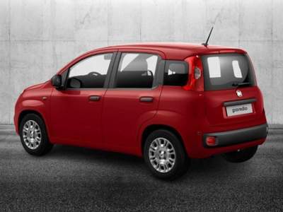 Fiat Panda 1.0 FireFly S&S Hybrid Rosso usata Pieve di Cento
