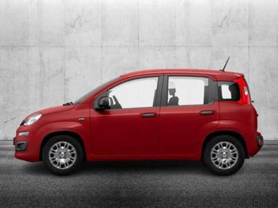 Fiat Panda 1.0 FireFly S&S Hybrid Rosso usata Pieve di Cento