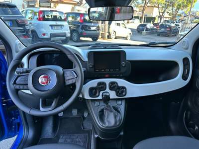 Fiat Panda 1.0 FireFly S&S Hybrid Pandina usata ISEO