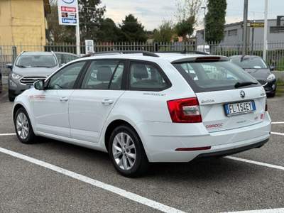Skoda Octavia 1.6 TDI CR 115 CV Wagon Executive AUTOCARRO Bianco usata Massarosa