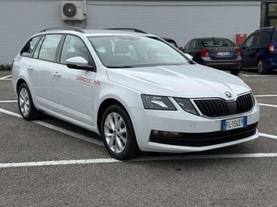 Skoda Octavia 1.6 TDI CR 115 CV Wagon Executive AUTOCARRO Bianco usata Massarosa