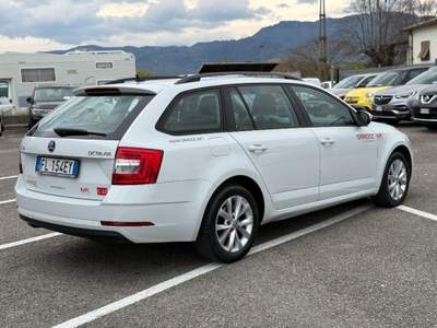 Skoda Octavia 1.6 TDI CR 115 CV Wagon Executive AUTOCARRO Bianco usata Massarosa