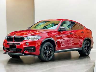 BMW X6 d Lilla usata Torino
