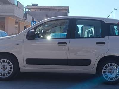 Fiat Panda 1.2 EasyPower Easy Beige usata SORA