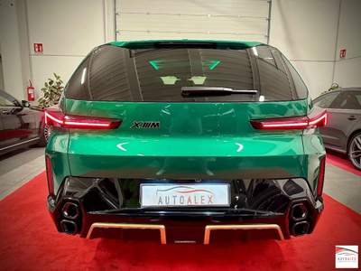 BMW XM XM Verde usata Casarsa della Delizia