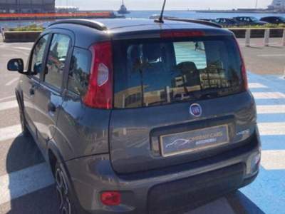 Fiat Panda 1.0 firefly hybrid City Life s&s 70cv 5p.ti usata Cagliari