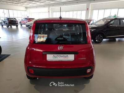 Fiat Panda 1.0 FireFly S&S Hybrid MY25 Rosso usata Riva presso Chieri
