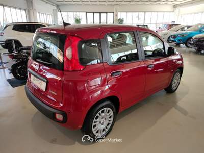 Fiat Panda 1.0 FireFly S&S Hybrid MY25 Rosso usata Riva presso Chieri