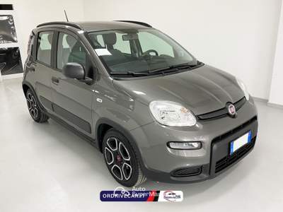 Fiat Panda 1.0 firefly hybrid s&amp;s 70cv 5p.ti Grigio usata Perignano