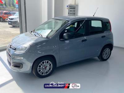 Fiat Panda 1.0 firefly hybrid s&amp;s 70cv Grigio usata Perignano