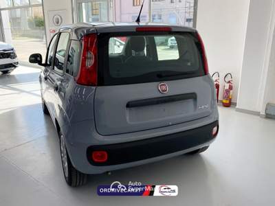 Fiat Panda 1.0 firefly hybrid s&amp;s 70cv Grigio usata Perignano