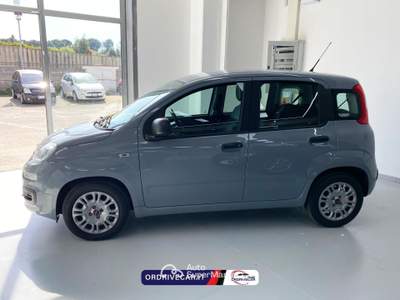 Fiat Panda 1.0 firefly hybrid s&amp;s 70cv Grigio usata Perignano