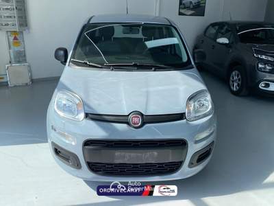 Fiat Panda 1.0 firefly hybrid s&amp;s 70cv Grigio usata Perignano